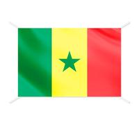 Drapeau Sénégal officiel - Drapeaux du Monde pour intérieur et extérieur, drapeaux décoratifs et collection, drapeau francais inclus - Taille 144x93 cm