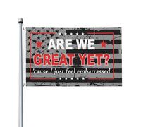 Drapeau Sommes-nous enfin au top ? Parce que je Drapeau De Jardin