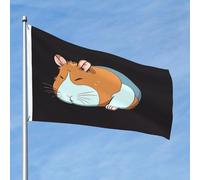 Drapeau souriant de 61 x 91 cm double face qui ne se décolore pas, drapeau de jardin, drapeau de cour avec bannière extérieure en laiton pour décoration de cour, porche, pelouse