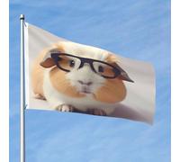 Drapeau souriant de 61 x 91 cm double face qui ne se décolore pas, drapeau de jardin, drapeau de cour avec bannière extérieure en laiton pour décoration de cour, porche, pelouse