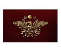 Drapeau SPQR, drapeau de l'Empire romain de 3 x 5 pieds, bannière du Sénat Populusque Romanus, drapeaux romains décoratifs avec œillets en laiton pour l'extérieur