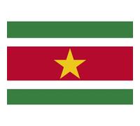 Drapeau Suriname (15 X 10 Cm) - Sticker/Autocollant