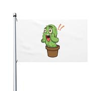 Drapeau « Surpris par le cactus en pot » (90 x 150 cm), double face, résistant, pour extérieur, idéal pour les fêtes à la maison, la décoration de patio et autres occasions.