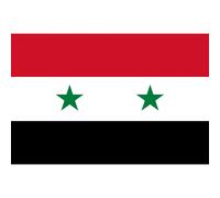 Drapeau Syrie Av.2024 (19.5 X 13 Cm) - Sticker/Autocollant