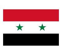 Drapeau Syrie Av.2024 (19.5 X 13 Cm) - Sticker/Autocollant