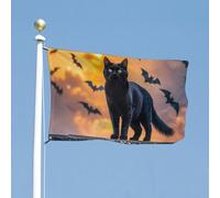 Drapeau « The Black Cat Is Pacing on The Roof » - Drapeau de 88,9 x 150 cm pour l'extérieur - Couleurs vives et résistant à la décoloration - Très résistant à la décoloration - Double couture
