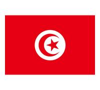 Drapeau Tunisie (5 X 3.3 Cm) - Sticker/Autocollant