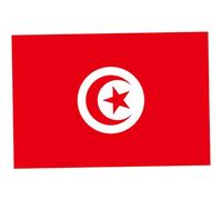 Drapeau tunisien en polyester, drapeau tunisien, bannières nationales décoratives de jardin en polyester pour événements sportifs 150x90cm pour un usage quotidien