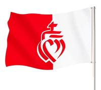 Drapeau Vendée Department Flag 90x150cm Drapeau de la Province de Vendée avec 2 boutons en laiton Drapeaux décoratifs pour l'intérieur et l'extérieur Convient Pour les Festivals et Les Célébrations