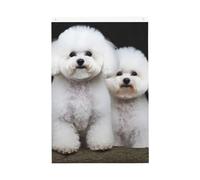 Drapeau vertical double face avec œillets - Ne se décolore pas - Drapeau de jardin bichon frisé - Toile de fond pour photo - Décoration intérieure et extérieure