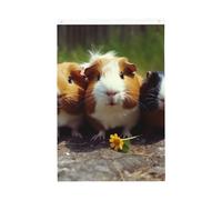 Drapeau vertical double face de 5,1 x 7,6 cm avec œillets - Ne se décolore pas - Drapeau de jardin amusant - Pour décoration intérieure et extérieure