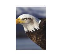 Drapeau vertical double face de 5,1 x 7,6 cm avec œillets - Ne se décolore pas - Drapeau de jardin - Animaux - Aigle chauve - Drapeau de cour - Toile de fond pour photo pour décoration intérieure et