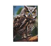 Drapeau vertical double face de 5,1 x 7,6 cm avec œillets - Ne se décolore pas - Drapeau de jardin - Hibou sauvage - Oiseaux - Toile de fond photo pour décoration intérieure et extérieure