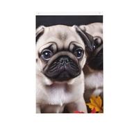 Drapeau vertical double face de 5,1 x 7,6 cm avec œillets - Ne se décolore pas - Drapeau de jardin - Pour décoration intérieure et extérieure