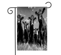 Drapeau Vue Subjective De Génisses Black Angus À Ventre Bas Dans Un Champ D'Élevage, Gros Plan D'Animaux Ruraux, Faune Sauvage, Bovins Décoratif Drapeaux Bannière, Pour Les Bureaux, 30x45cm