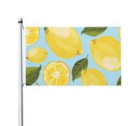 Drapeau Yellow Lemon The Arts 152 cm x 91 cm avec œillets, en polyester double face pour jardin