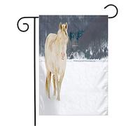 Drapeau Yeux Bleus D'Un Cheval Albinos, Liberté Animale, Animaux Équestres Dans La Neige, Faune Sauvage, Nature Drapeau De Bienvenue Renforcé Avec Décoration Bannière, Pour Jardin, 30x45cm