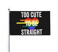 Drapeaux 3x5 pieds Trop mignon pour être hétéro Drapeau de la fierté gay LGBT Bannière Tapisserie avec 2 œillets