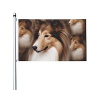 Drapeaux 90 x 152 cm 200D lourd décoration extérieure drapeau abris chien drapeau de bienvenue drapeau de cour avec œillets en laiton drapeau de jardin pour toutes les saisons décoration extérieure
