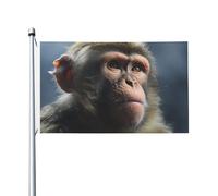 Drapeaux 90 x 152 cm 200D lourd décoration extérieure drapeau singe drapeau bienvenue cour drapeaux avec œillets en laiton drapeau de jardin pour toutes les saisons décoration extérieure