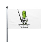 Drapeaux 90X150cm, Je suis le maître du karaté Pickle Couleurs Vives Drapeau Pirate Personnalisée Bannière Extérieure pour Décorations Fête Restaurant