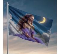 Drapeaux amusants pour chambre d'adolescentes et filles Enchanted Night: A Fairy Tale Princess Flag Man Cabe Decor Spring Garden Flag (152 x 244 cm)