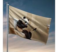 Drapeaux amusants pour chambre d'adolescentes, filles, panda, lisant un journal sur les toilettes, drapeaux à accrocher dans votre chambre, décoration de chambre de garçon (152 x 244 cm)