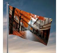 Drapeaux amusants pour chambre de gars, feuilles d'automne ligne une rue pavée avec bâtiments historiques, drapeau universitaire, dortoir, décoration de jardin (152 x 244 cm)