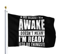 Drapeaux C'Est Drôle, Juste Parce Que Je Suis Éveillé, Ça Ne Veut Pas Dire Que Je Suis Prêt À Faire Des Choses. Drapeau De Pirate Avec Œillets,Personnalisé Bruant Pour Bar Manif 90X150Cm