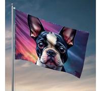 Drapeaux cool pour chambre de dortoir, bouledogue français dans une galaxie colorée, drapeau de gym, décoration de cabe (60 x 90 cm)