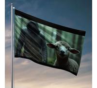Drapeaux cool pour dortoir universitaire Un mouton regarde une figurine à capuche dans la forêt. Drapeaux pour chambre d'adolescentes Décoration de maison amusante (60 x 90 cm)