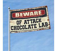 Drapeaux cool pour les gars « Beware of Attack » - Drapeau de laboratoire de chocolat - Décoration de cour amusante (30 x 45 cm)
