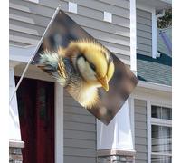 Drapeaux de 0,9 x 1,5 m 200D - Bannière lourde décorative d'extérieur - Drapeau de poule - Bannière de bienvenue avec œillets en laiton - Drapeaux de jardin pour toutes les saisons - Bannière de