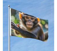 Drapeaux de 1,2 x 1,8 m - Drapeau de singe mignon 200d - Décoration lourde - Drapeau de bienvenue avec œillets en laiton - Drapeaux de jardin pour mariage toutes saisons