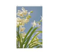 Drapeaux de 9,6 x 1,5 m double face avec fleurs d'orchidée, drapeau de printemps frais 200D, décoration lourde, drapeau de bienvenue avec œillets en laiton, drapeau de jardin pour mariage toutes