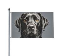 Drapeaux de 90 x 152 cm 200D - Bannière lourde décorative d'extérieur - Drapeau labrador noir - Drapeau de bienvenue avec œillets en laiton - Drapeau de jardin pour toutes les saisons - Décoration