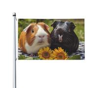 Drapeaux de bienvenue 200D robustes pour jardin, 91 x 152 cm | Drapeau amusant de cochons d'Inde pour l'extérieur - Bannière imperméable - Drapeaux de décoration pour les vacances en