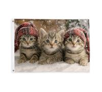 Drapeaux de chatons pour l'extérieur, jolies écharpes de neige d'hiver marron décoratives avec œillets pour balcon, terrasse, jardin, entrée, maison - 0,9 x 1,5 m
