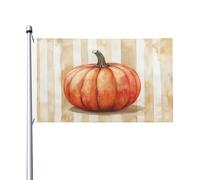 Drapeaux de citrouille aquarelle pour maison, cour, 9,5 x 1,5 m, bannière de vœux avec œillets, décoration d'intérieur et d'extérieur