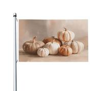 Drapeaux de citrouilles vintage beiges esthétiques pour cour, maison, 9,1 x 1,5 m, bannière de vœux avec œillets, décoration d'intérieur et d'extérieur