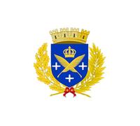 Drapeaux de Cour Saint-Étienne Loire Ville de Bannière de Cour pour | Vacances 3x5 FT Imperméable Drapeaux Décoratif Amusant Bannière décorative pour Intérieur Fête