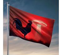 Drapeaux de dortoir cool Un coq se tient sous un OVNI lumineux. Accessoires de chambre pour homme - Décoration de dortoir amusante (60 x 90 cm)