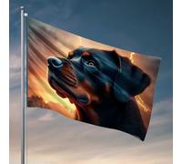 Drapeaux de jardin amusants avec coucher de soleil doré avec une touche de magie pour dortoir universitaire drapeau de bienvenue (152 x 244 cm)