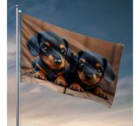 Drapeaux de jardin amusants - Deux chiots mignons noirs et marron sur plancher en bois - Pour dortoir universitaire - Drapeau de jardin de bienvenue (152 x 244 cm)