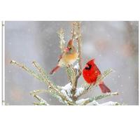 Drapeaux De Jardin Cardinal Rouge Mâle Femelle Oiseau Dans La Neige Hivernale D'Un Épicéa Bannière Extérieure Garden Flag Coupe-Vent Et Étancheune Pour Ferme Patio 90X150 Cm