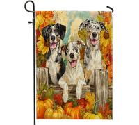 Drapeaux de jardin Catahoulas d'automne pour chien léopard 30,5 x 45,7 cm double face pour décoration extérieure, clôtures d'automne, citrouille, érable, drapeau de maison, chiot pour animal de