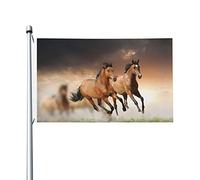 Drapeaux De Jardin Cheval Au Galop Drapeau Pirate Lavable Couleurs Resistant Exterieur Bannière À Œillets, Pour Les Défilés, Balcon, Les Bureaux, 90x150cm