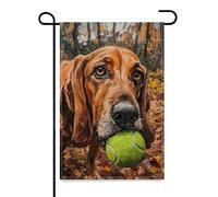 Drapeaux De Jardin Chien De Saint-Hubert Avec Une Balle De Tennis Toutes Les Saisons Treer Drapeau Premium Pelouse Drapeaux Pour Jardinage Ferme 30X45Cm