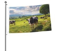 Drapeaux de jardin de 6,1 x 0,9 m pour l'extérieur - Bannière amusante de vaches pâturant - Drapeau de jardin double face - Bannières de bienvenue pour la maison, la pelouse, la décoration d'intérieur