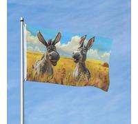 Drapeaux de jardin de 7,6 x 1,5 m pour l'extérieur - Drapeau amusant à double face pour chambre à coucher, intérieur, drapeaux de cour et de bateau légers pour décorations extérieures avec œillets